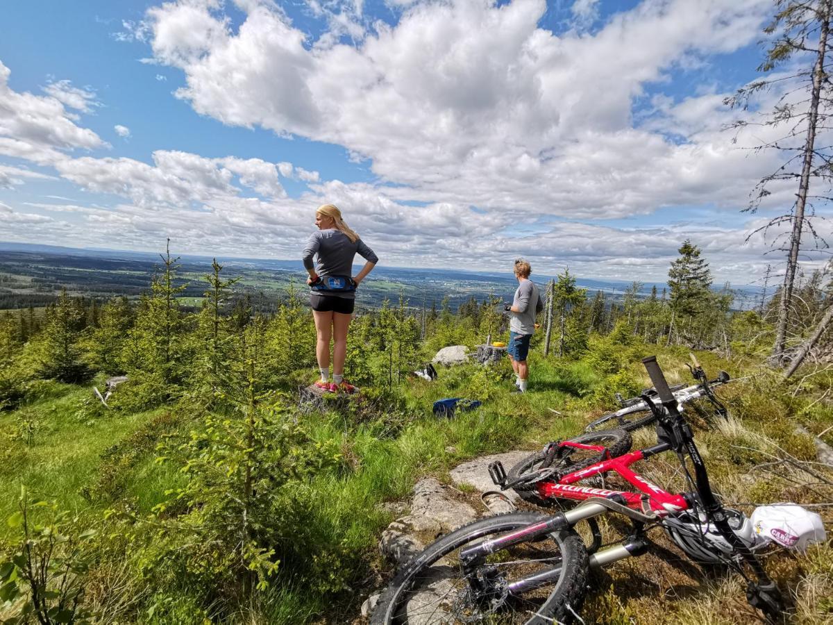 Idylliske Evjua Ved Mjosa Skreia Exterior foto