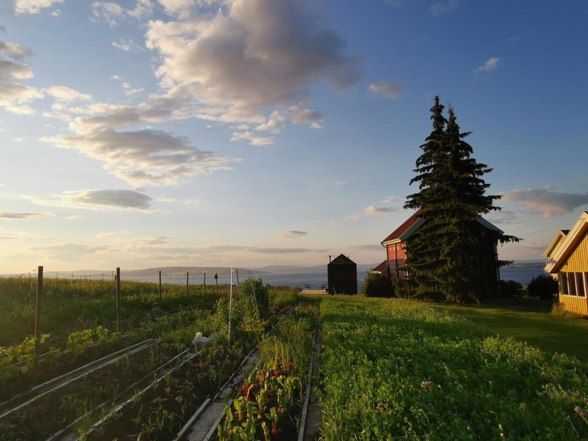 Idylliske Evjua Ved Mjosa Skreia Exterior foto
