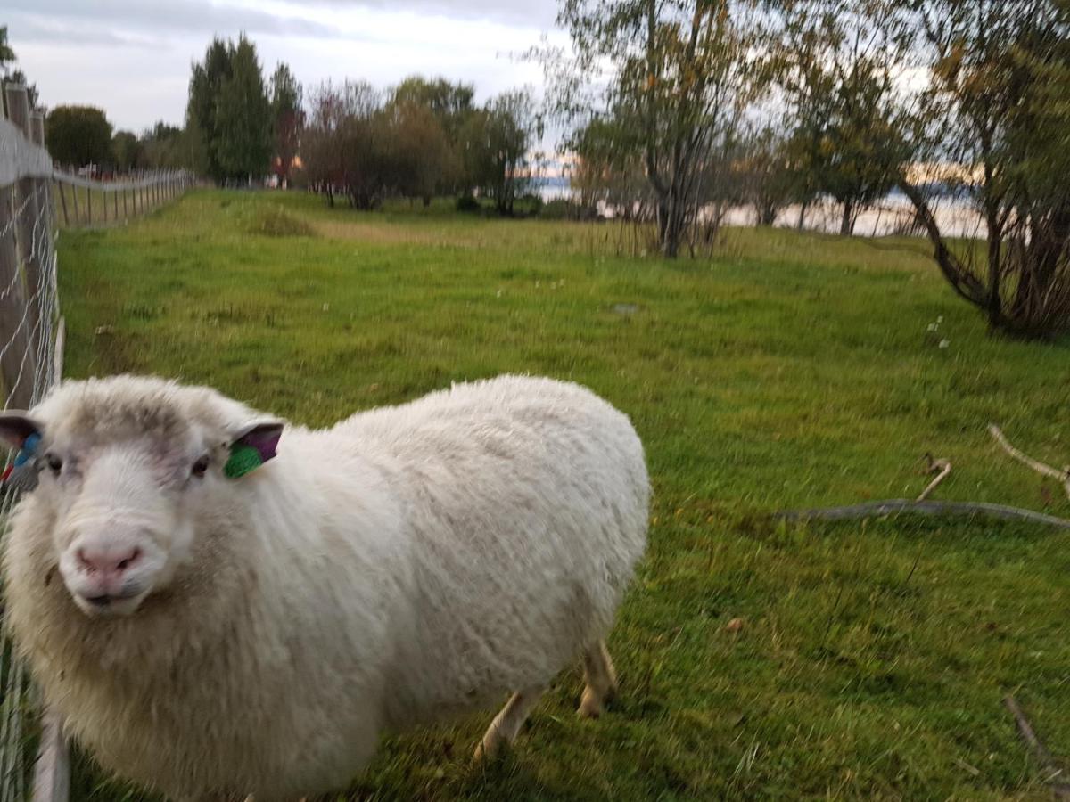 Idylliske Evjua Ved Mjosa Skreia Exterior foto