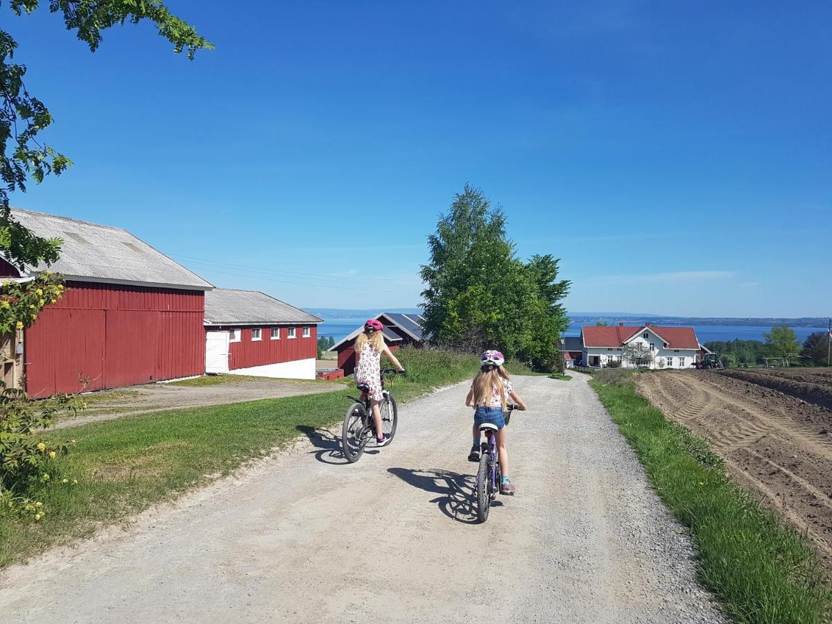 Idylliske Evjua Ved Mjosa Skreia Exterior foto