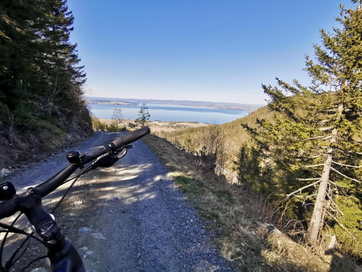 Idylliske Evjua Ved Mjosa Skreia Exterior foto