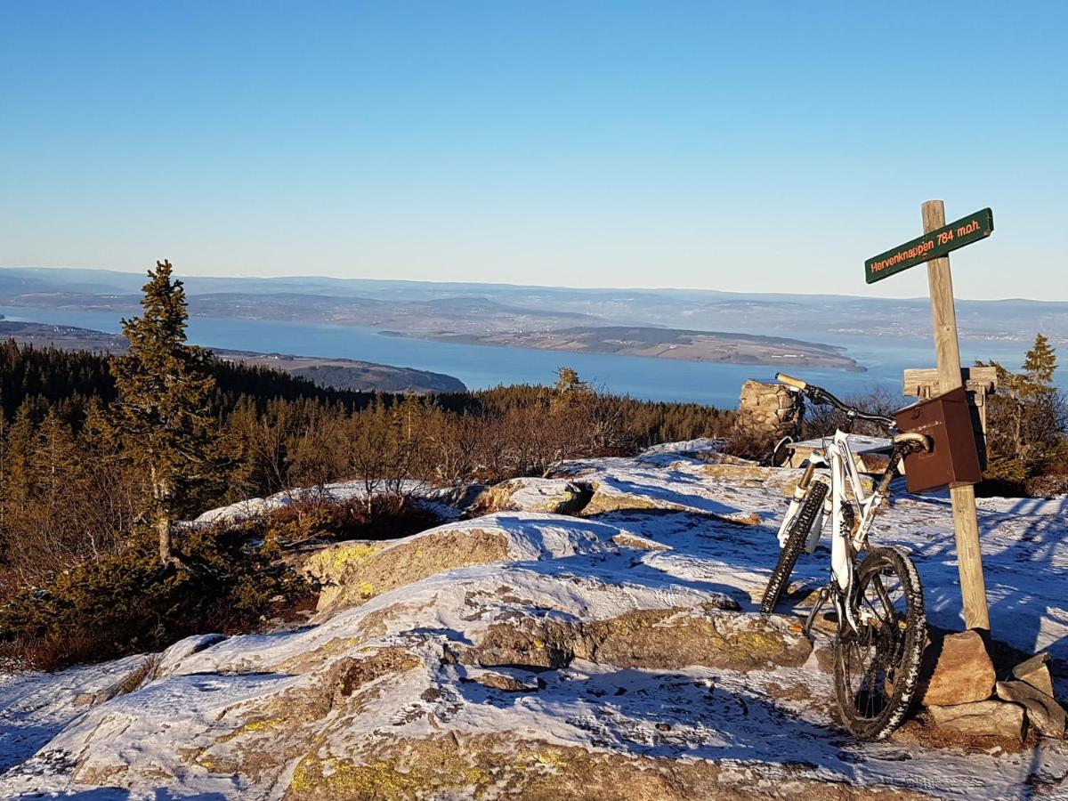 Idylliske Evjua Ved Mjosa Skreia Exterior foto