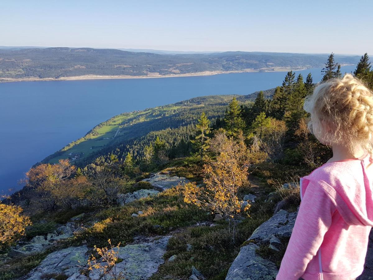 Idylliske Evjua Ved Mjosa Skreia Exterior foto