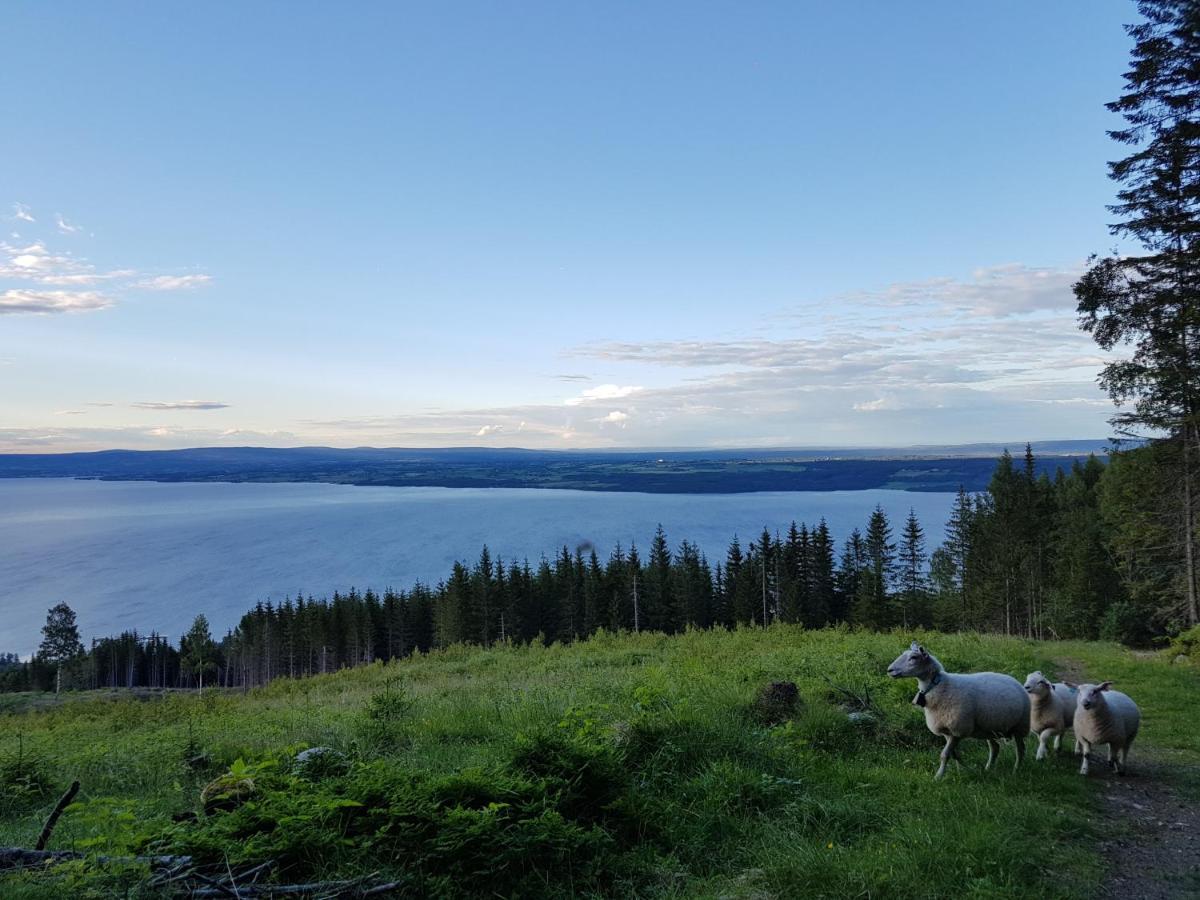 Idylliske Evjua Ved Mjosa Skreia Exterior foto